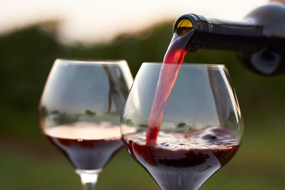 A Beginner’s Guide to Choosing the Perfect Red Wine