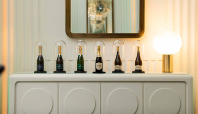 Organic Wine Benefits, Taste and What Makes it Special