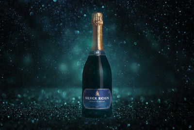 The Ultimate Guide to Sparkling Wine: Tips, Pairings, and More