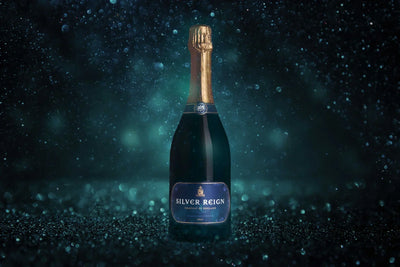 The Ultimate Guide to Sparkling Wine: Tips, Pairings, and More
