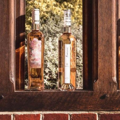 What Makes Provence Rosé So Good?