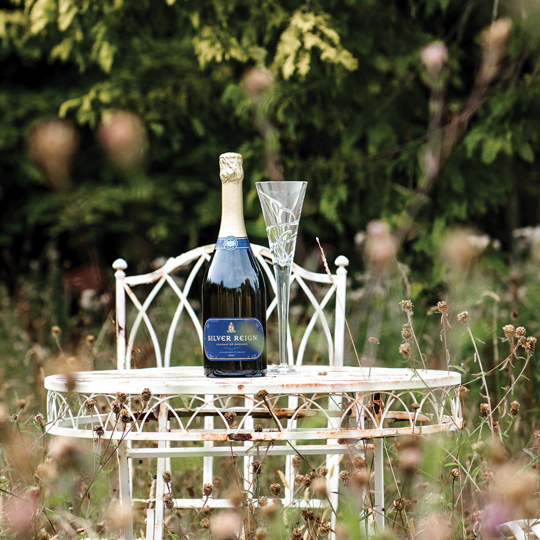 What Is Organic Wine? What Is the Difference Between Organic vs Non-Organic