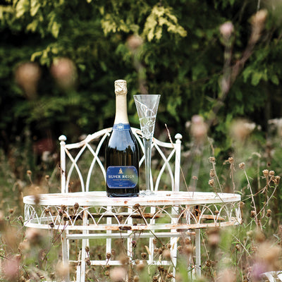 What Is Organic Wine? What Is the Difference Between Organic vs Non-Organic