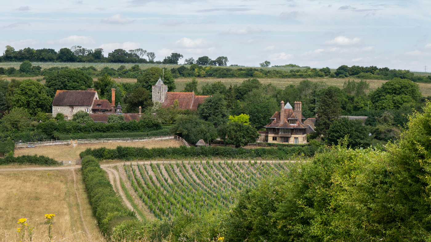 Exploring Eco-Friendly & Sustainable Wine Practices