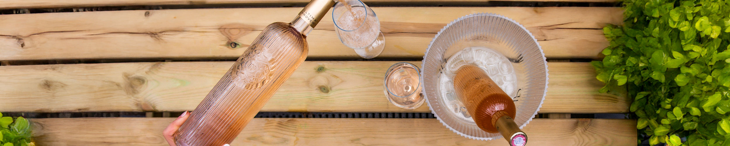 Provence Rosé: Why Is It So Special? What Is It with the Terroir?