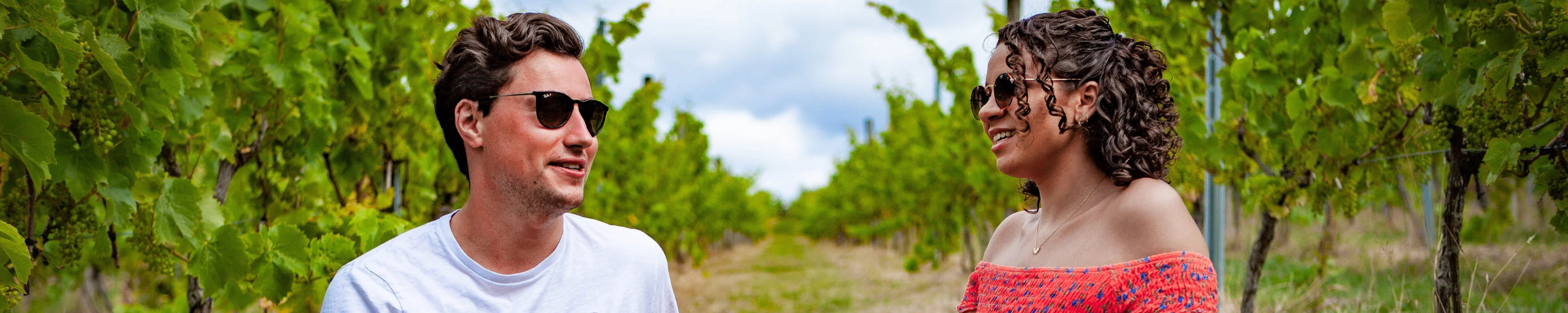 Common Wine Questions and Little-Known Facts About Wine