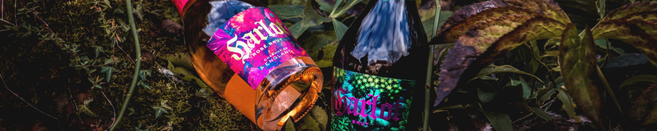 English Sparkling Wine. How Does This Shape Up Against Other Sparkling Wines?