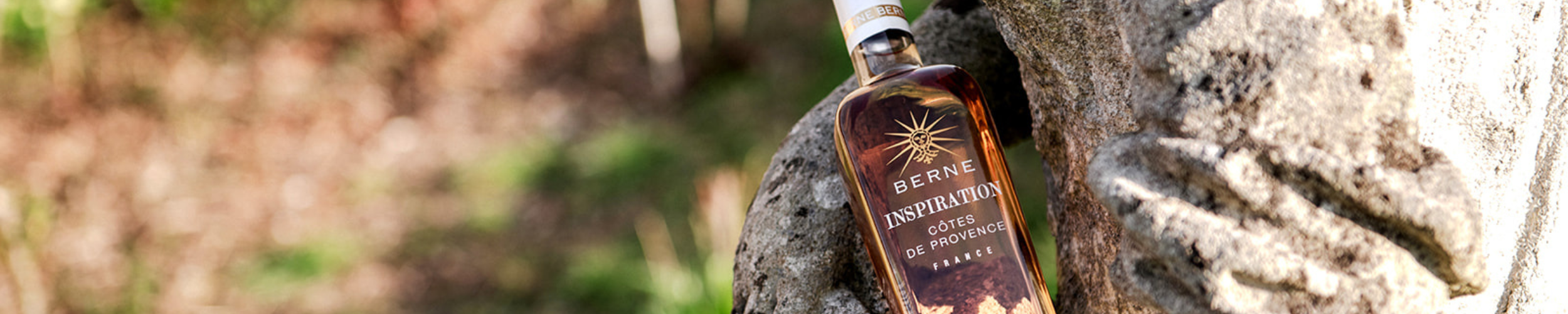 Wine Bottle Sizes Explained: From Standard to Magnum and Beyond