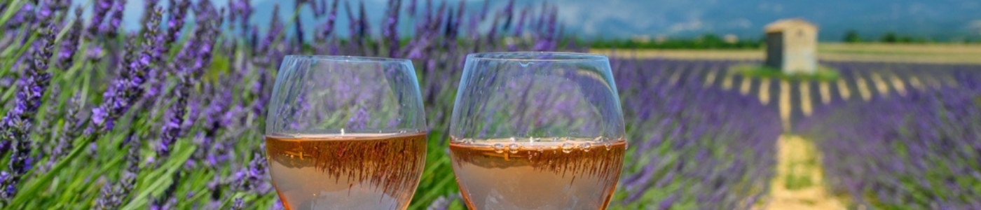 What Makes Provence Rosé So Good?