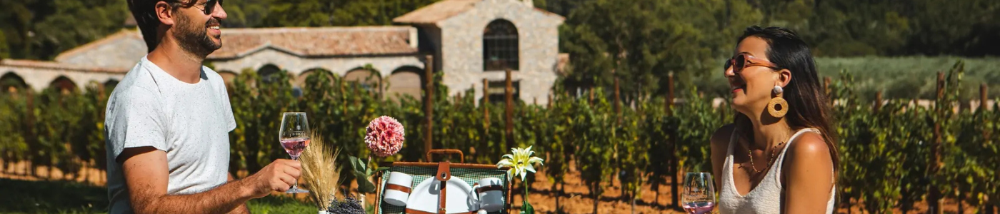 Discover the Château de Berne Vineyard and Its Wines